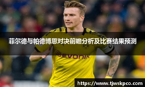 菲尔德与帕德博恩对决前瞻分析及比赛结果预测
